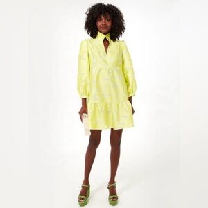 Tuckernuck Citron Fil Coupe Palmerston Dress